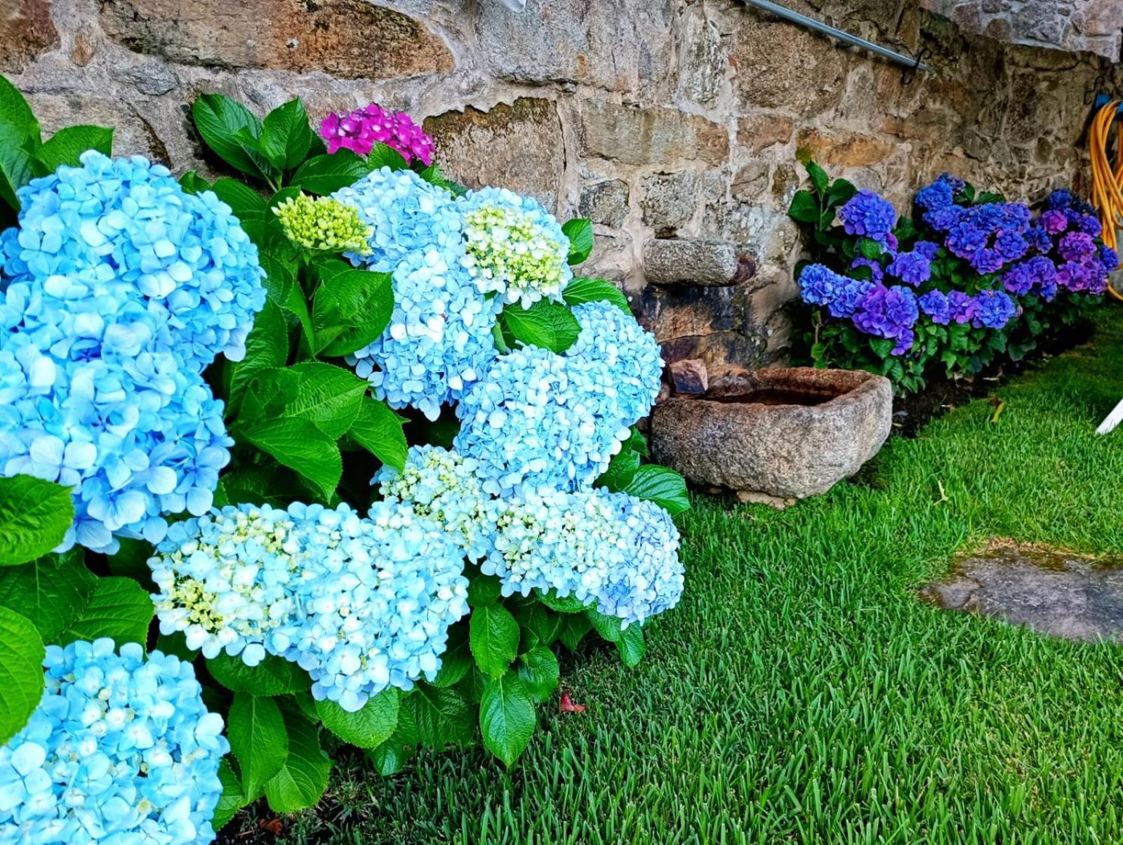 Вилла Remanso Azul Моания Экстерьер фото